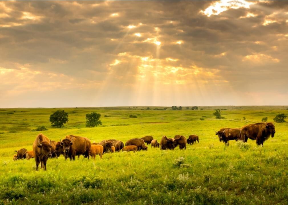 Kansas